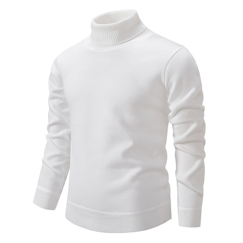 Luxe Turtleneck Knit Sweater